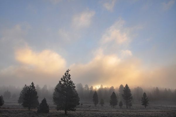 Bryce_Canyon_(88).jpg