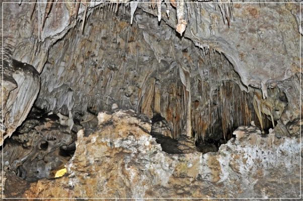 Carlsbad_Caverns_(288).JPG