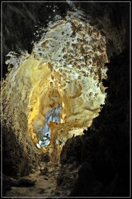 Carlsbad_Caverns_(41).JPG