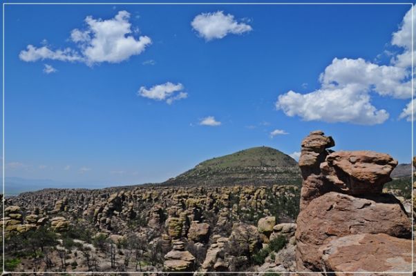 Chiricahua_(109).JPG
