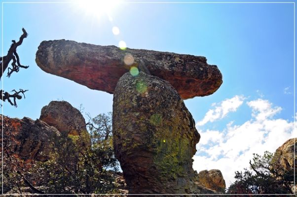 Chiricahua_(148).JPG