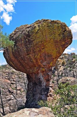 Chiricahua_(157).JPG
