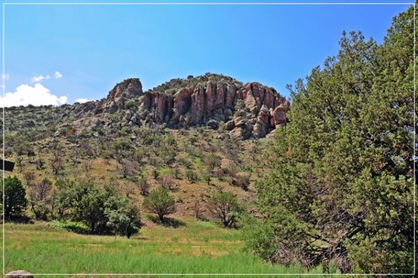 Chiricahua_(20).JPG