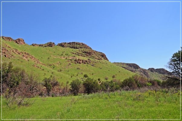 Chiricahua_(24).JPG