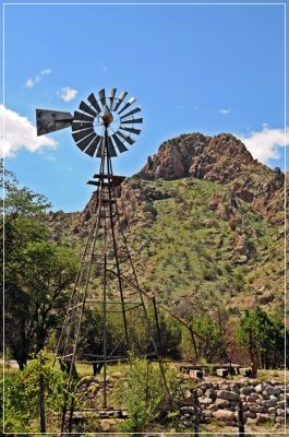 Chiricahua_(36).JPG