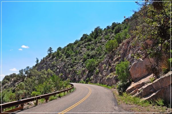 Chiricahua_(86).JPG