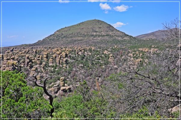 Chiricahua_(91).JPG