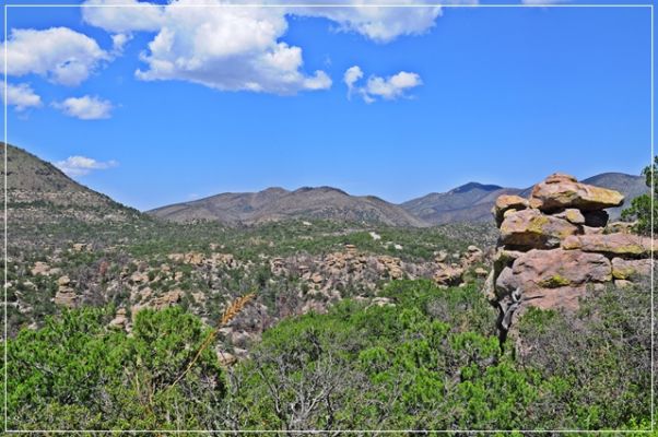 Chiricahua_(96).JPG