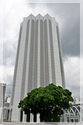 DSC_0817.JPG