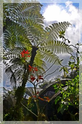 DSC_2277.JPG