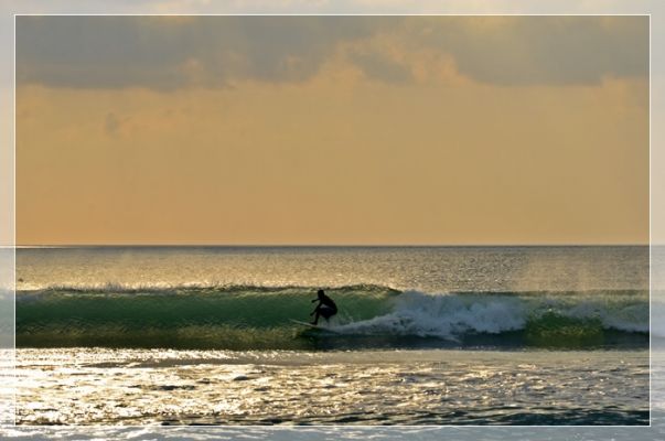 DSC_2528.JPG