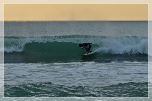 DSC_2553.JPG