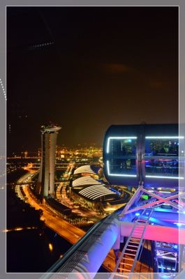 DSC_2921.JPG