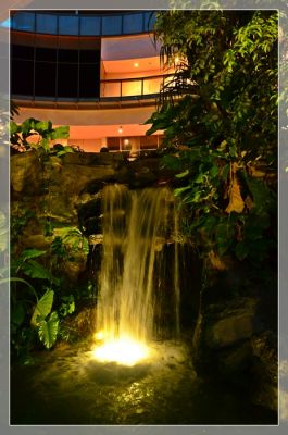 DSC_2944.JPG