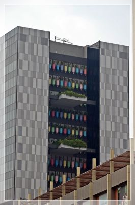 DSC_3165.JPG