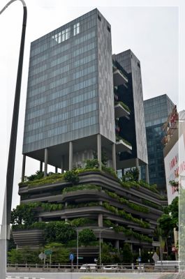 DSC_3176.JPG