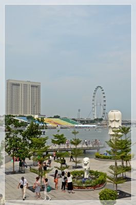 DSC_3389.JPG