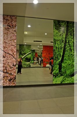 DSC_3950.JPG