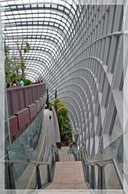 DSC_4012.JPG