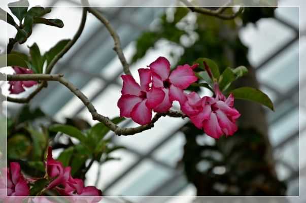 DSC_4029~0.JPG