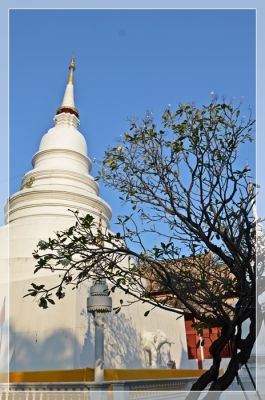 DSC_4384.JPG