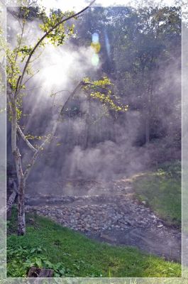 DSC_4828.JPG
