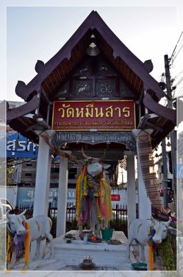 DSC_4979.JPG
