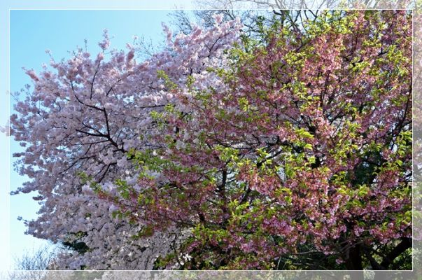 DSC_5392.JPG