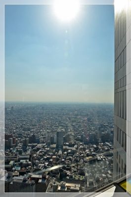 DSC_5484.JPG