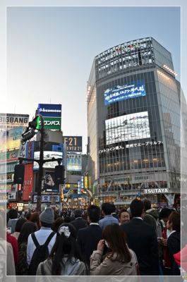 DSC_5546.JPG