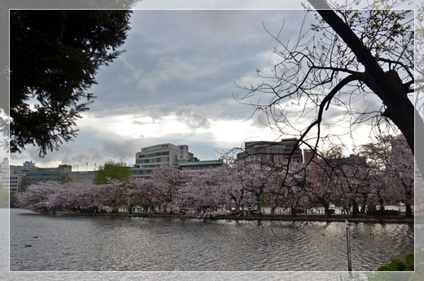 DSC_5906~0.JPG