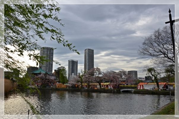 DSC_5917.JPG