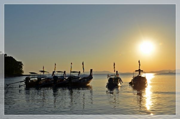 DSC_5998.JPG