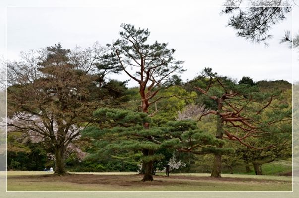 DSC_6024.JPG
