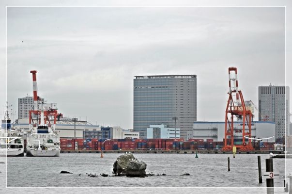 DSC_6141.JPG