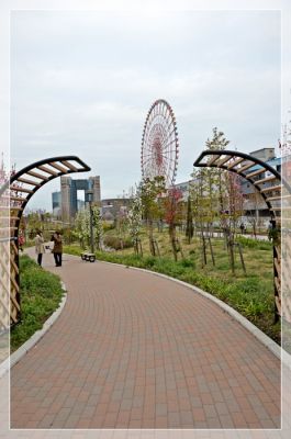 DSC_6202.JPG