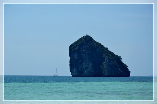 DSC_6306.JPG