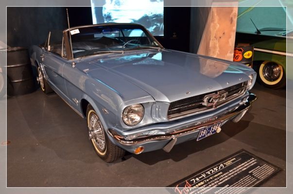 DSC_6421.JPG