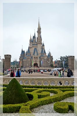 DSC_6550.JPG