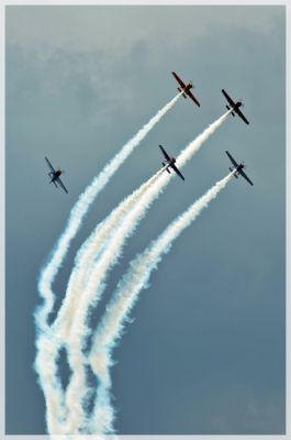 DSC_6753.JPG
