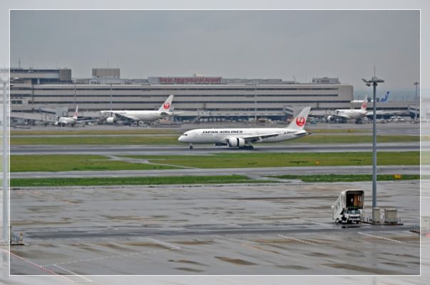 DSC_6950.JPG
