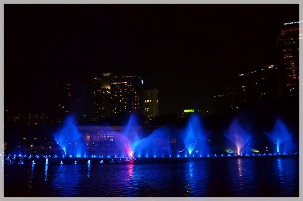 DSC_7311.JPG
