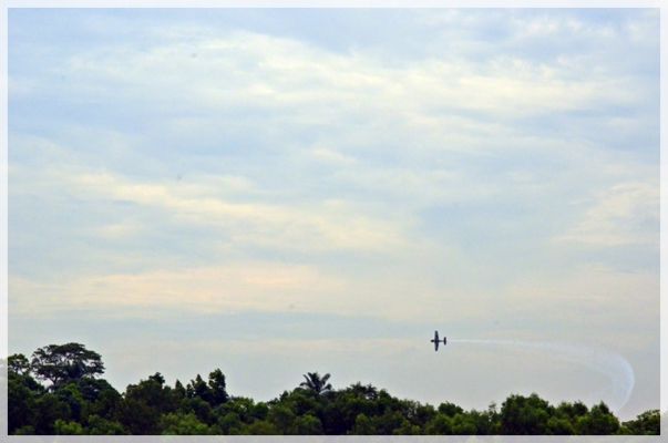 DSC_7769.JPG