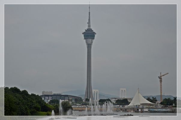 DSC_7934.JPG