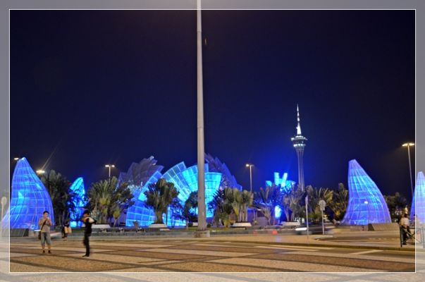 DSC_8001.JPG