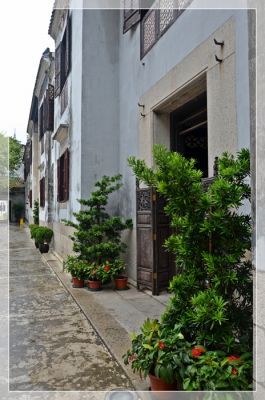 DSC_8061.JPG