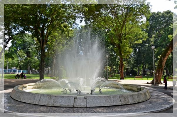 DSC_9106.JPG