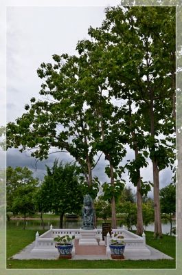 DSC_9116.JPG