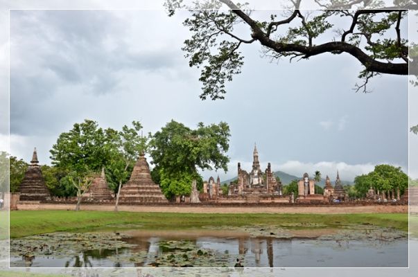 DSC_9143.JPG
