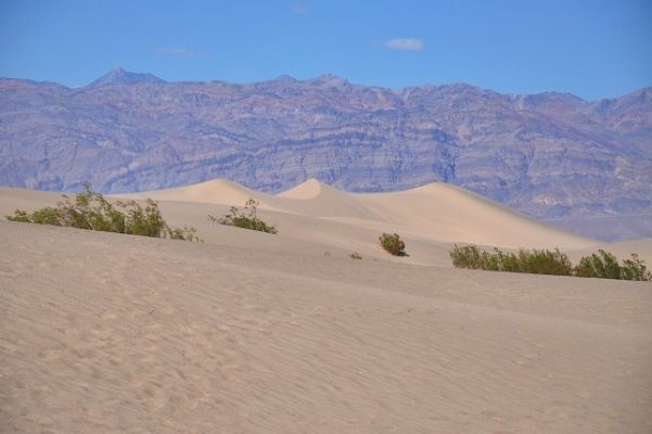 Death_Valley_(251).jpg